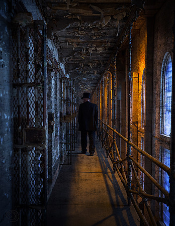 The Inspector