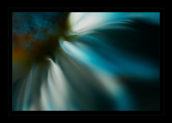 Aurora Floris